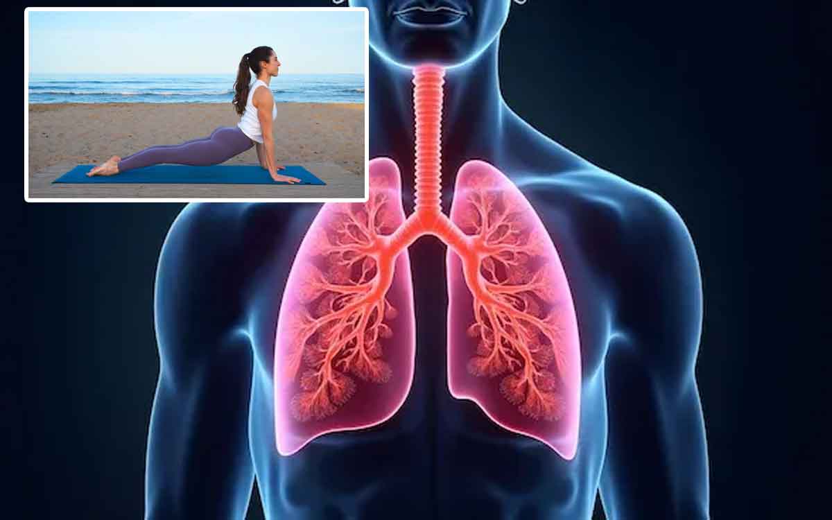 Lungs Health | ఊపిరితిత్తులు ఆరోగ్యంగా ఉండాలంటే ఉప‌యోగ‌ప‌డే యోగాస‌నాలు ఇవే.. రోజూ వేస్తే ఎంతో మేలు..