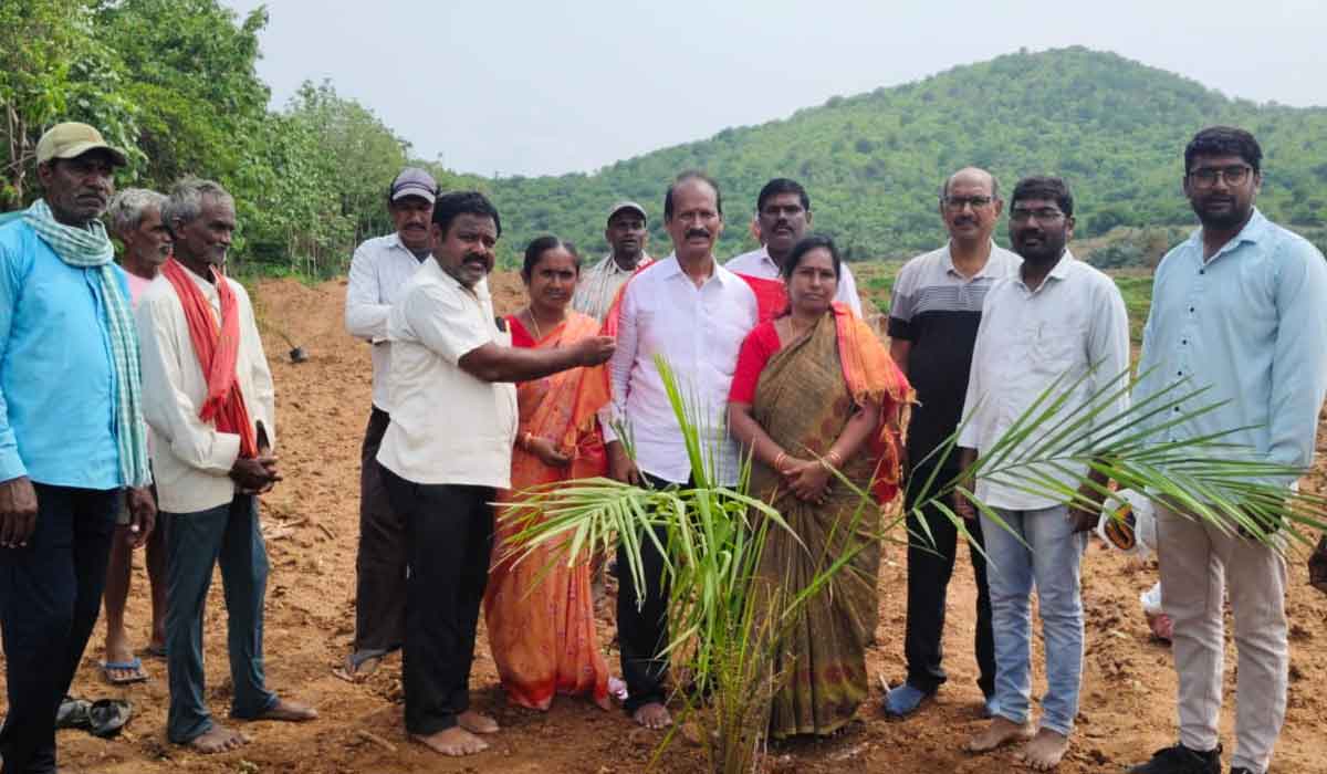 Dharmaram | ఆయిల్‌ పామ్‌ తోటల పెంపకంతో అధిక లాభాలు.. పెద్దపల్లి డివిజన్ ఉద్యానవన శాఖ అధికారి మహేష్