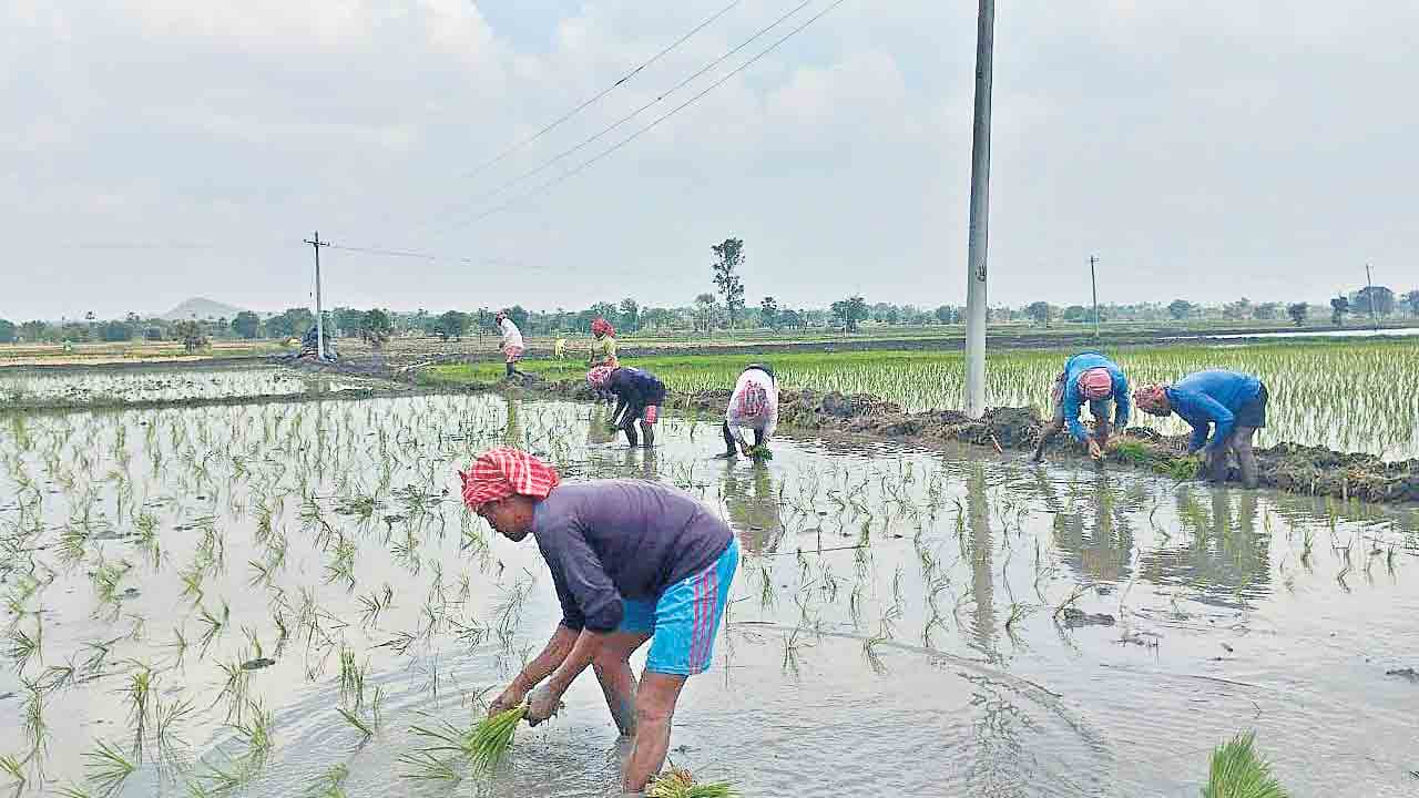 వరుణుడిపైనే ఆశలు