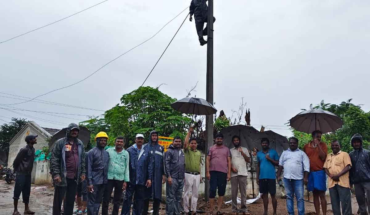 Odela | రెండు రోజులుగా ఎడతెరిపిలేని వానలు..హరిపురంలో నేల కూలిన తాటి చెట్టు, కరెంటు స్తంభాలు