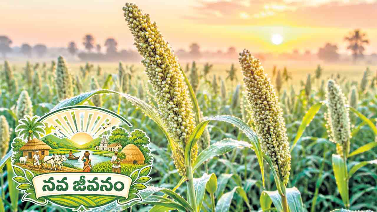 మంచుబిందు సేద్యం