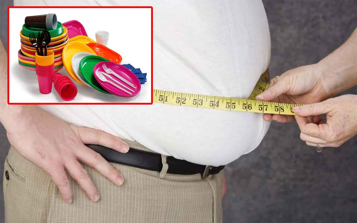 Obesity | రోజూ ఇంట్లో వాడే ప్లాస్టిక్ వ‌స్తువుల‌తో ఊబ‌కాయం.. సైంటిస్టుల ప‌రిశోధ‌న‌ల్లో వెల్ల‌డి..