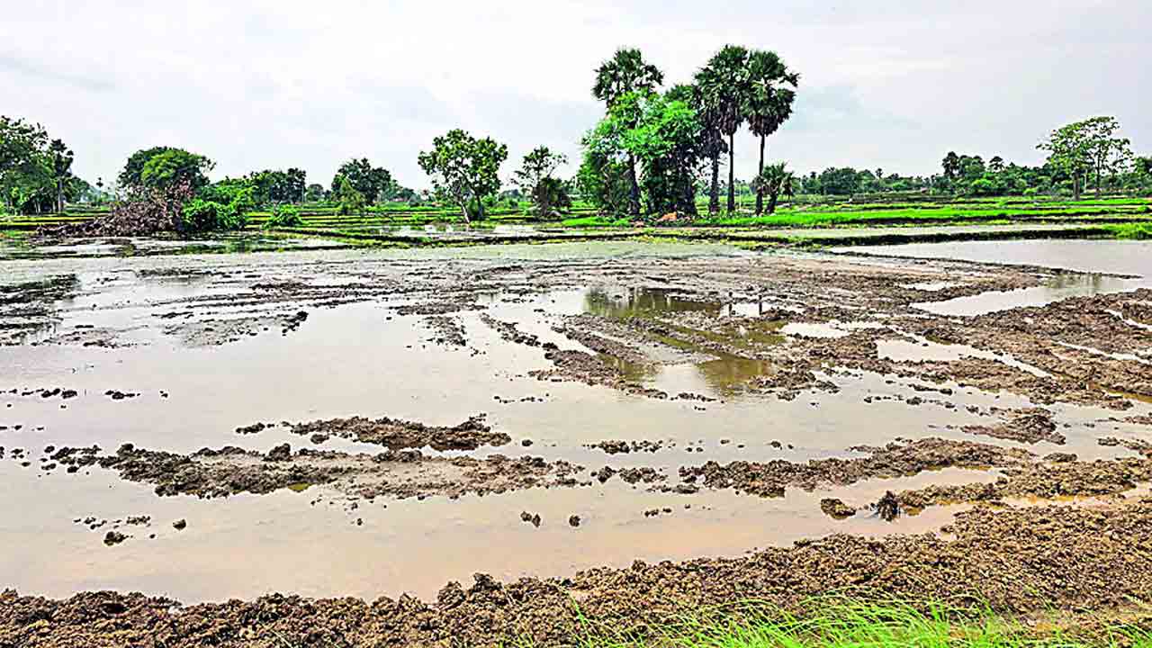 గుదిబండలా కాంప్లెక్స్‌ ఎరువులు