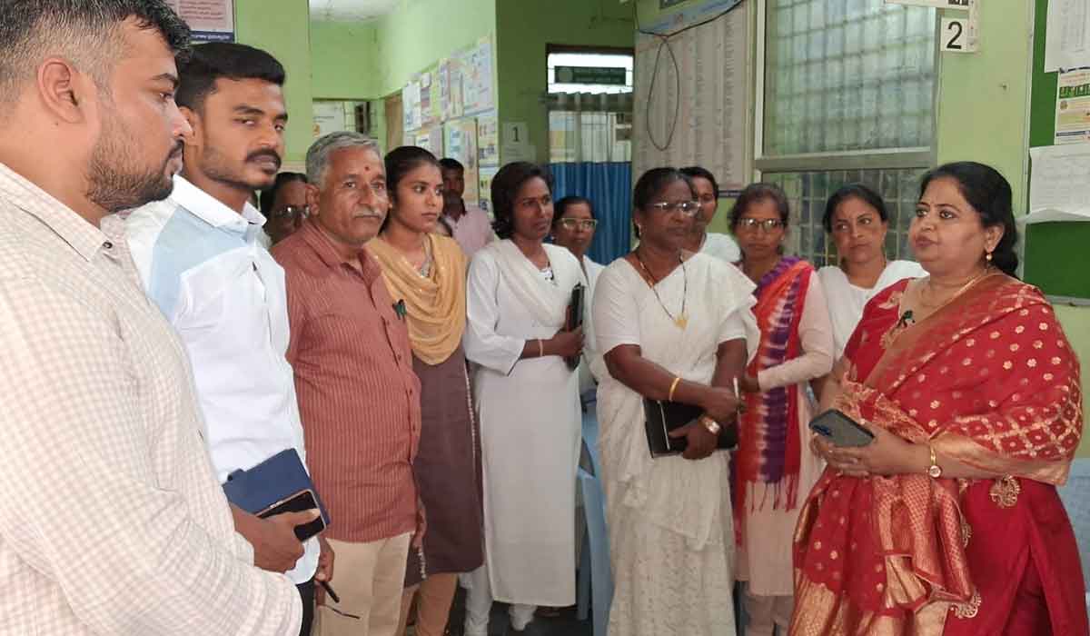 Odela | సీజనల్ వ్యాధుల పట్ల అప్రమత్తంగా ఉండాలి.. పెద్దపల్లి డీఎంహెచ్‌వో పవిత్ర