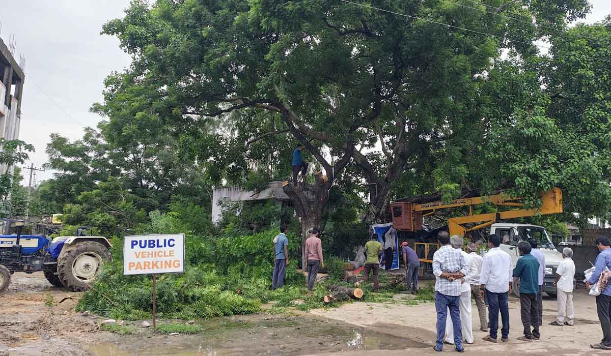 Godavarikhani | గోదావరిఖని పోచమ్మ మైదానంలో నీడనిచ్చిన 70 యేళ్ల నాటి పురాతన చెట్టు నేలమట్టం
