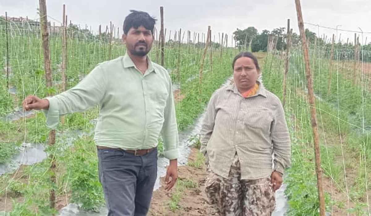 High profits | ఉద్యానవన పంటలతో అధిక లాభాలు