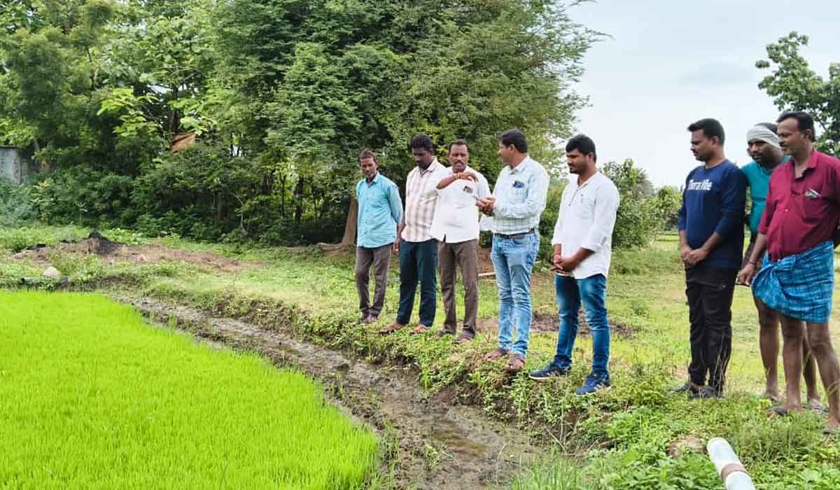 Kamanpur | నీటి లభ్యతను బట్టి పంటలను ఎంపిక చేసుకోవాలి .. శాస్త్రవేత్త డాక్టర్‌ సతీష్ చంద్ర