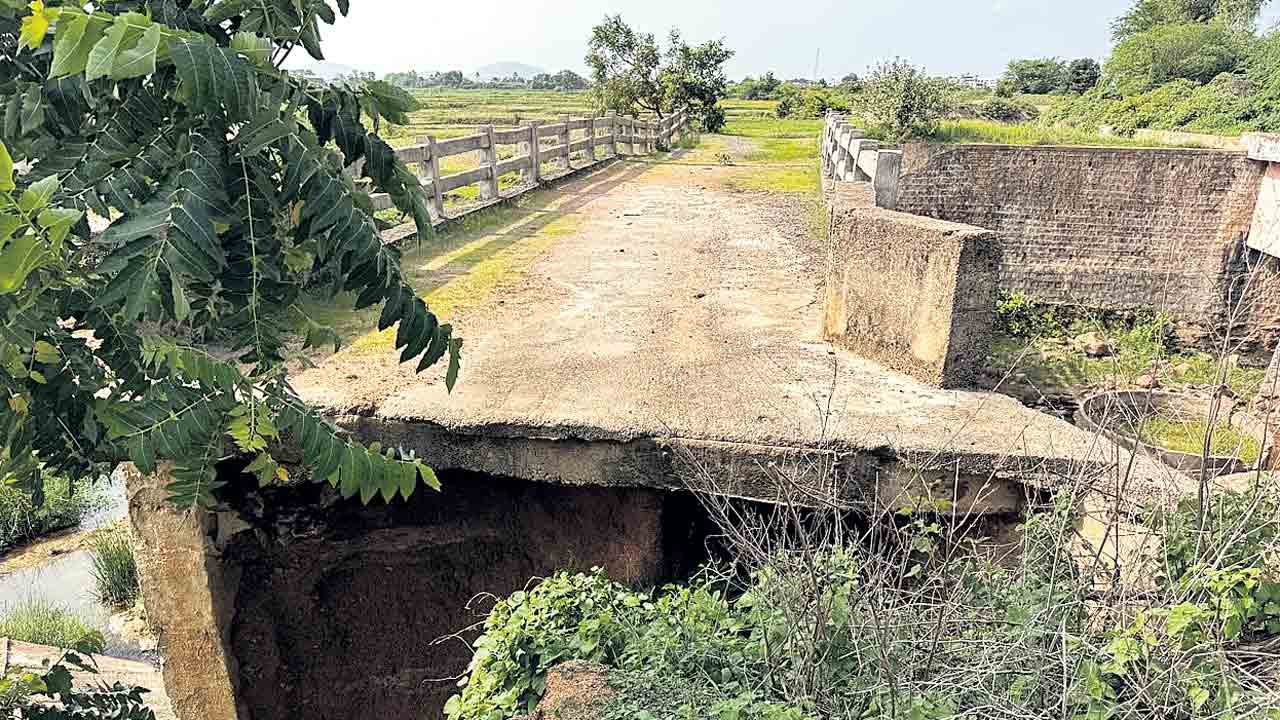 Vagu Vbridge