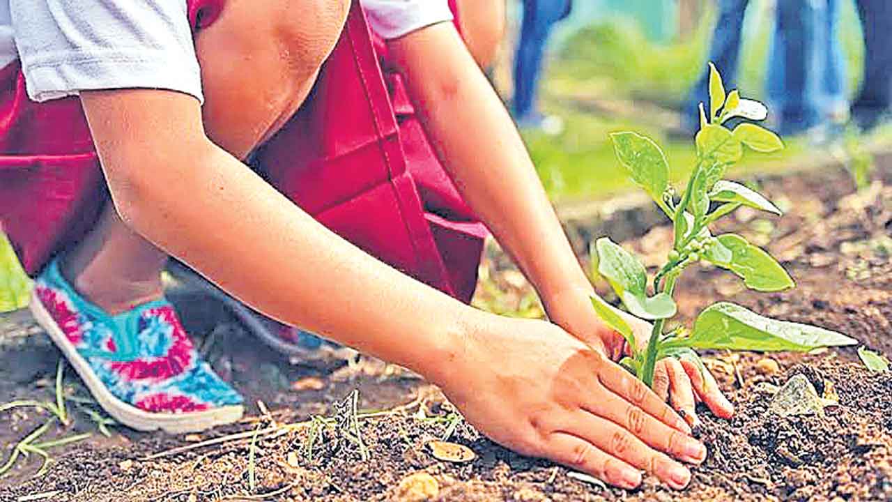 వన‘మహోత్సవం’ ఎక్కడ?