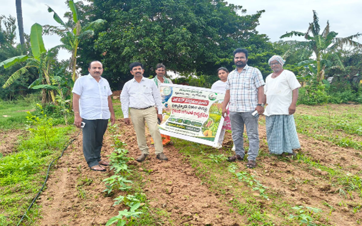 ఆరుతడి పంటల సాగుతో రైతులకు లాభాలు : డీఏఓ వినోద్ కుమార్
