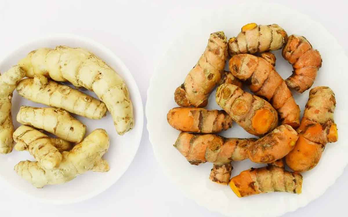 White Turmeric | ప‌సుపు తెలుపు రంగులోనూ ఉంటుంద‌ని మీకు తెలుసా.. దాంతో ఎలాంటి లాభాలు క‌లుగుతాయంటే..?