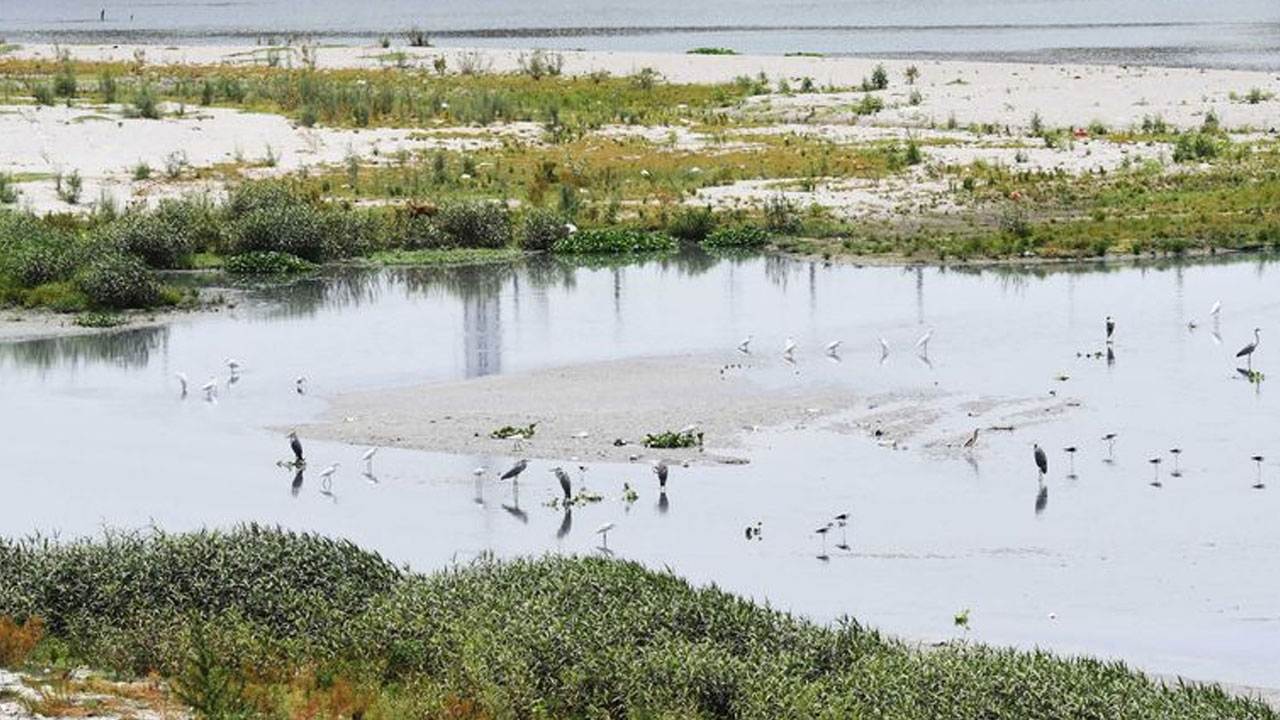 Yamuna River: గ‌త 225 ఏళ్ల‌లో..  ఢిల్లీలో 89 శాతం త‌గ్గిన య‌మునా న‌ది ప్ర‌వాహం
