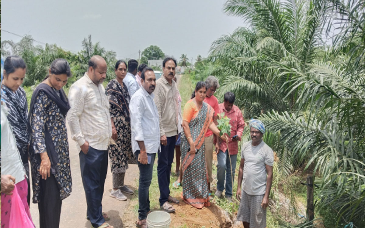 ​జూలూరుపాడు మండలంలో జడ్పీ సీఈఓ నాగలక్ష్మి విస్తృత పర్యటన