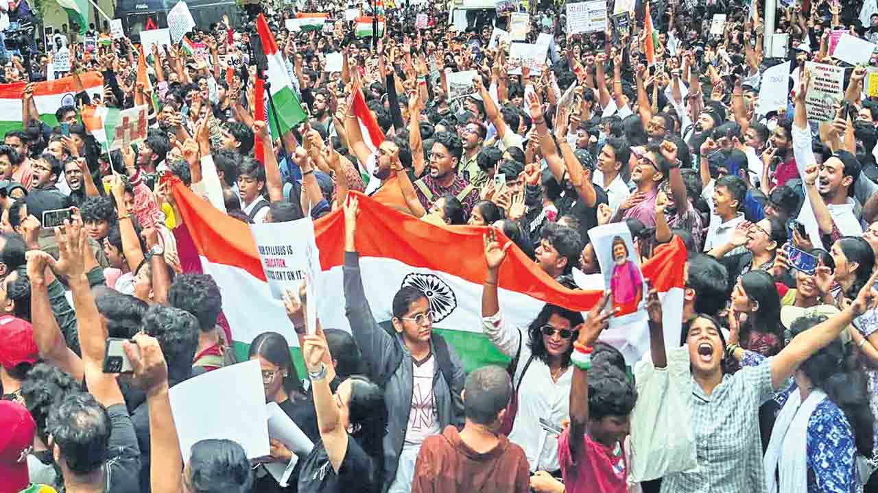 యువ బొద్దింకలకు మరో లేఖ