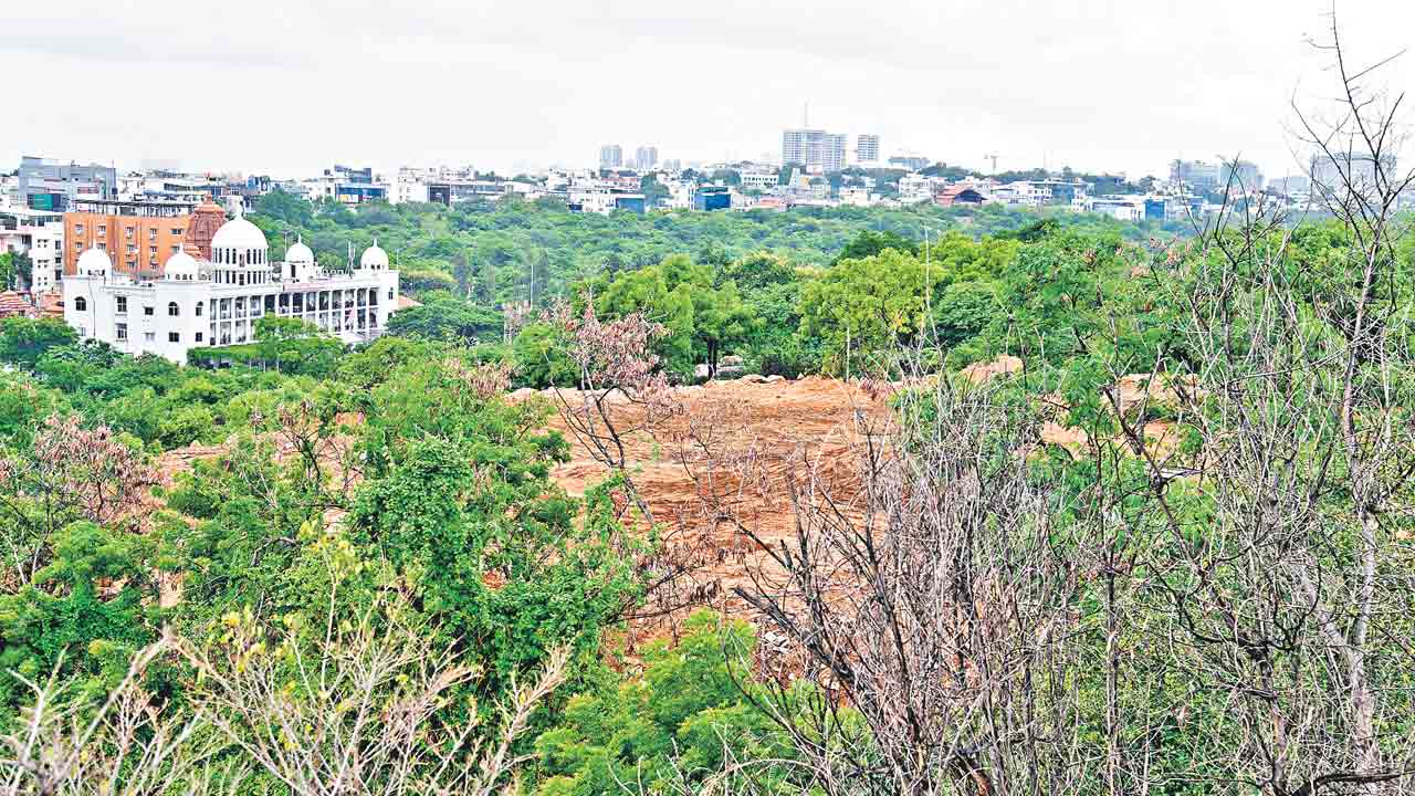 పచ్చదనంపై మెగా వేటు.. మట్టి డంపింగ్‌ పేరుతో బంజారాహిల్స్‌ రోడ్‌ నంబర్‌-10లోని స్థలంపై పాగా!