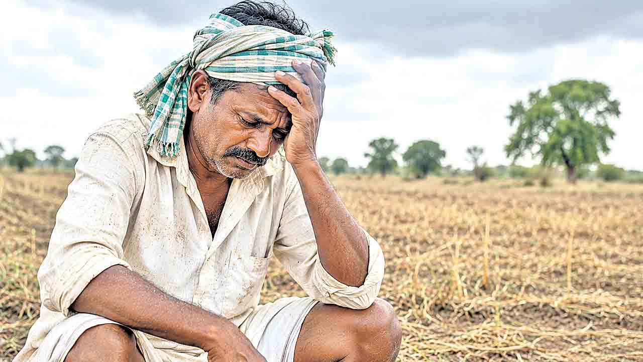 రైతుబీమా రద్దు.. ఈ నెల 14న ముగియనున్న పథకం గడువు