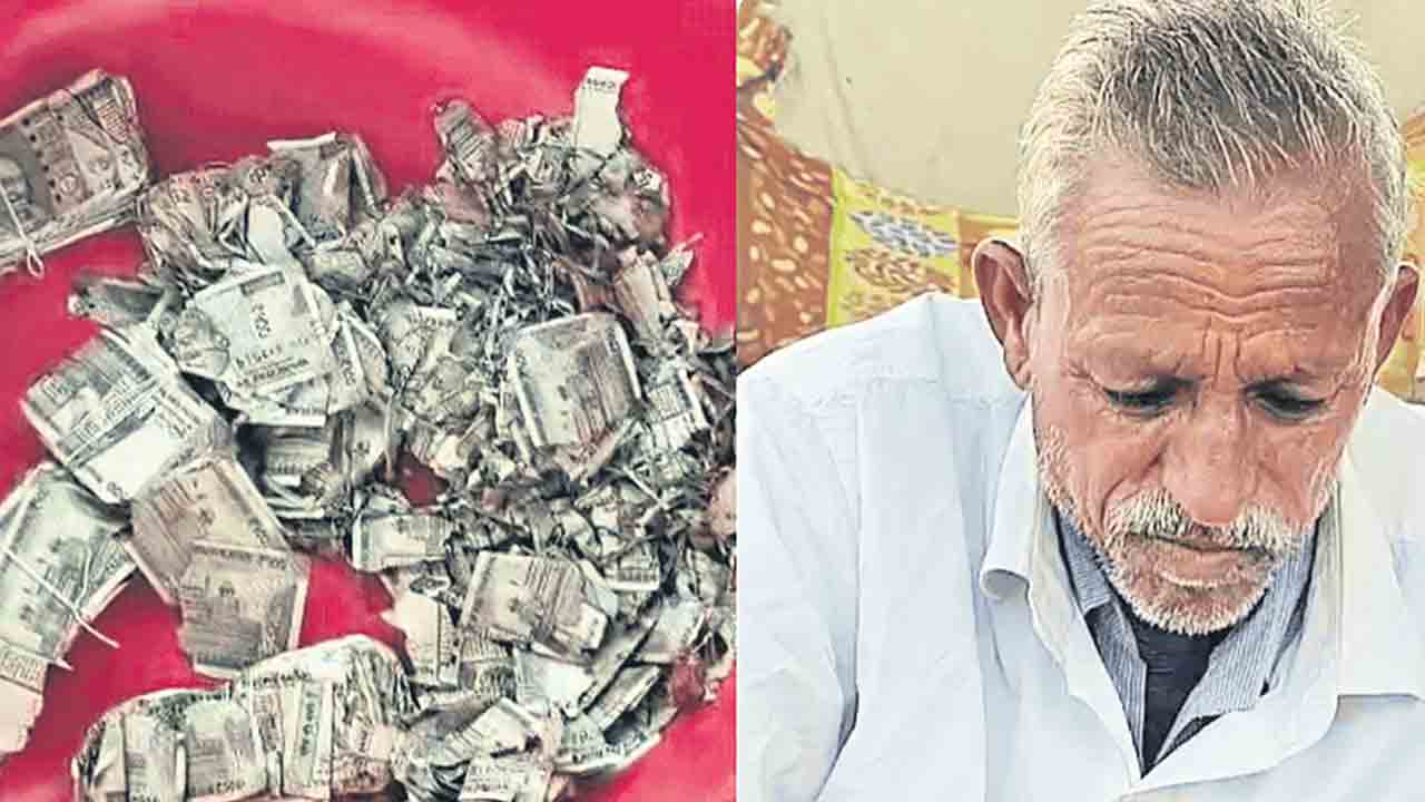 5 లక్షల పొదుపు చెదలపాలు