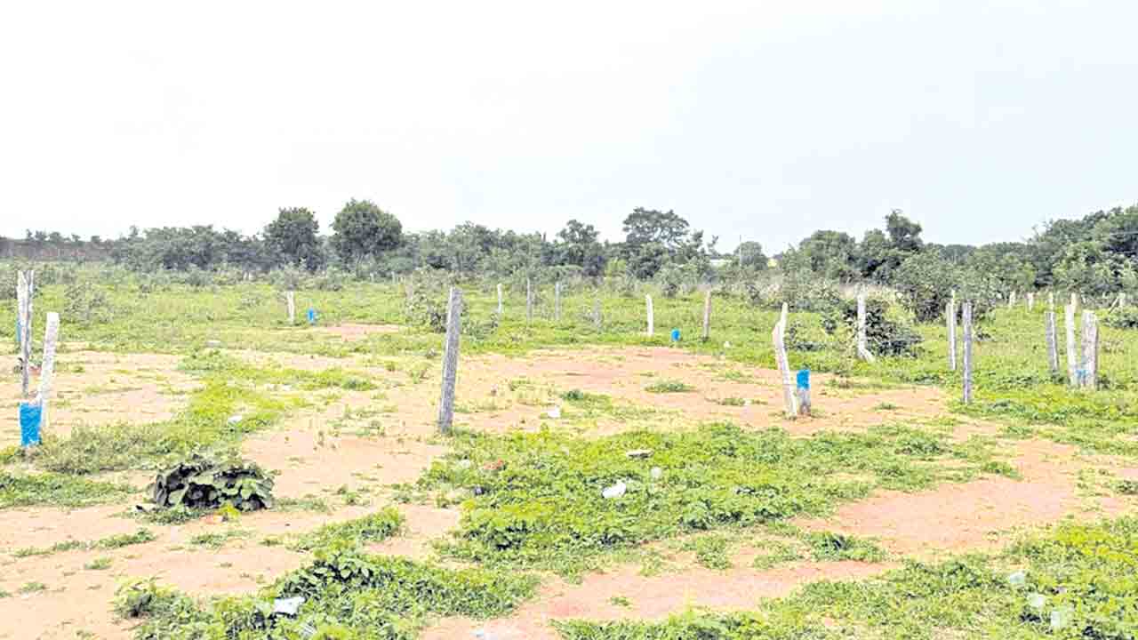 మున్సిపల్ పాట ఎకరానికి 20లక్షలు?