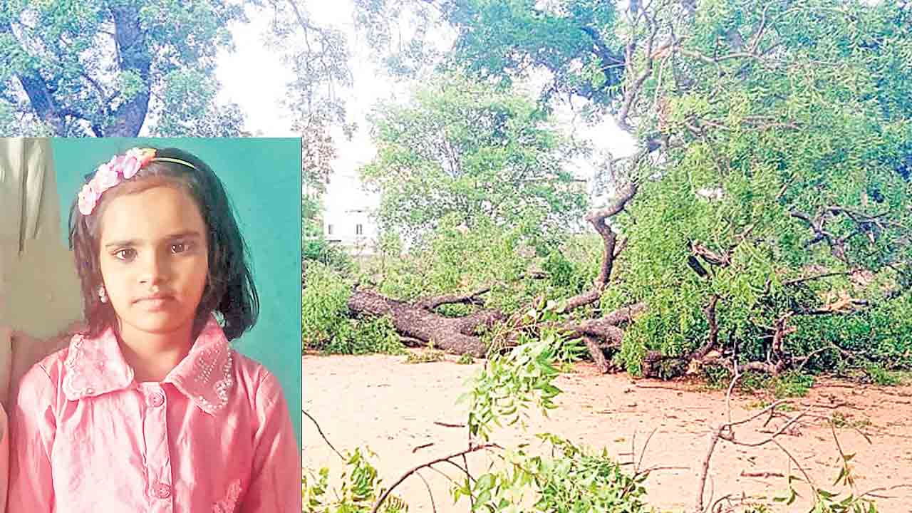 చెట్టు కొమ్మ పడి విద్యార్థిని మృతి.. మరికొందరు విద్యార్థులకు గాయాలు