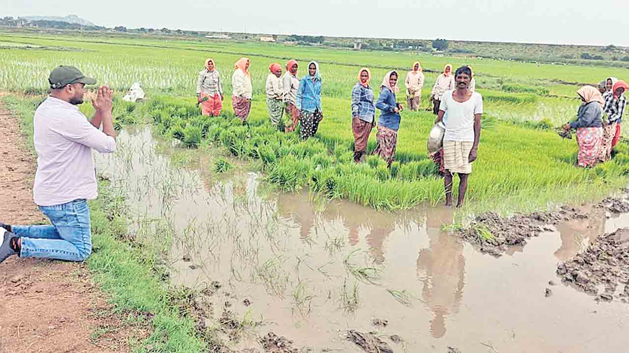 దండం పెడుతున్న.. వరి వేయకండి