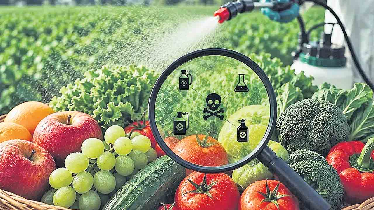 పరిమితికి మించిన పురుగు మందుల అవశేషాల్లో