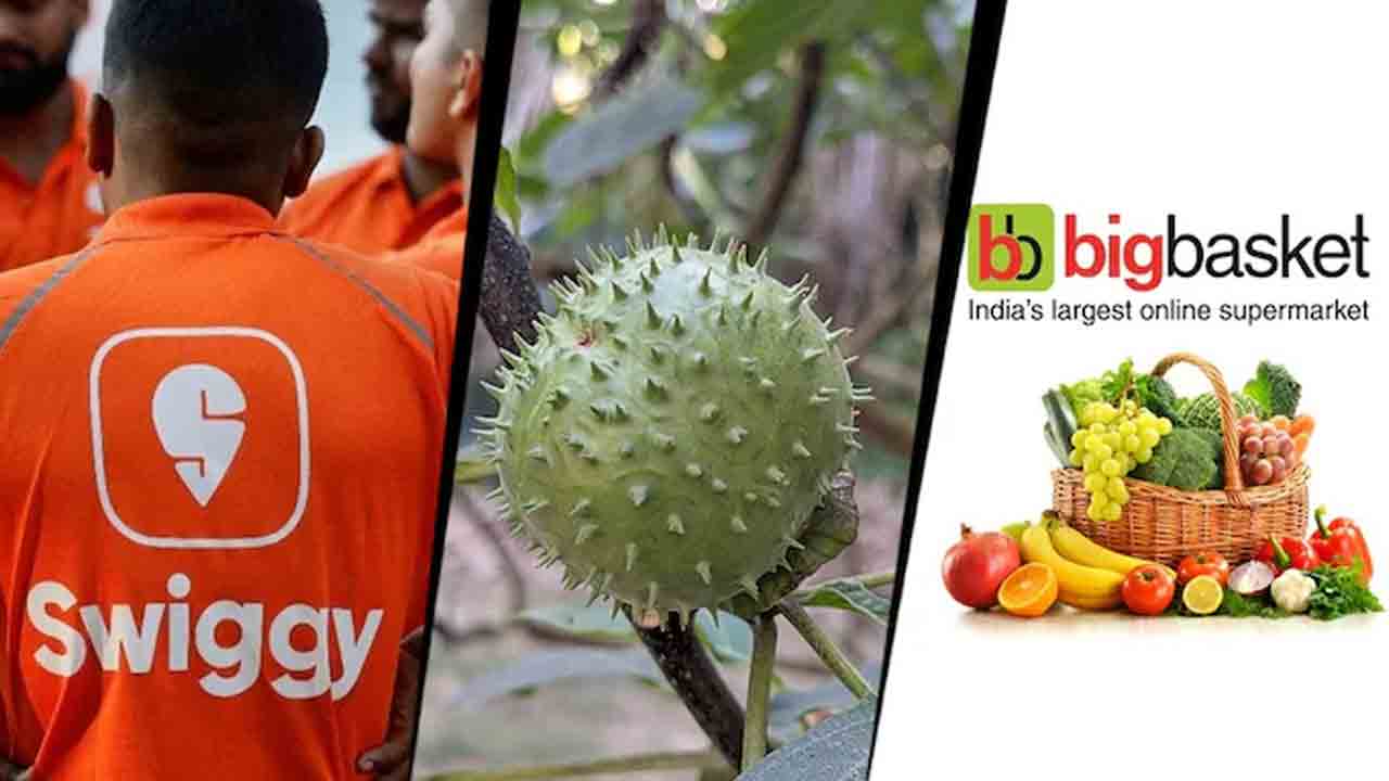 మనుషులు తినేందుకు ఉమ్మెత్త కాయలు అమ్ముతారా?