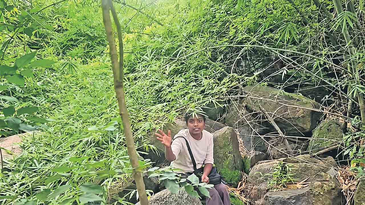 వారసత్వ గుట్టలను పరిరక్షించండి.. రాయదుర్గం, దుర్గం చెరువు పరిసరాల్లో చారిత్రక గుట్టలు