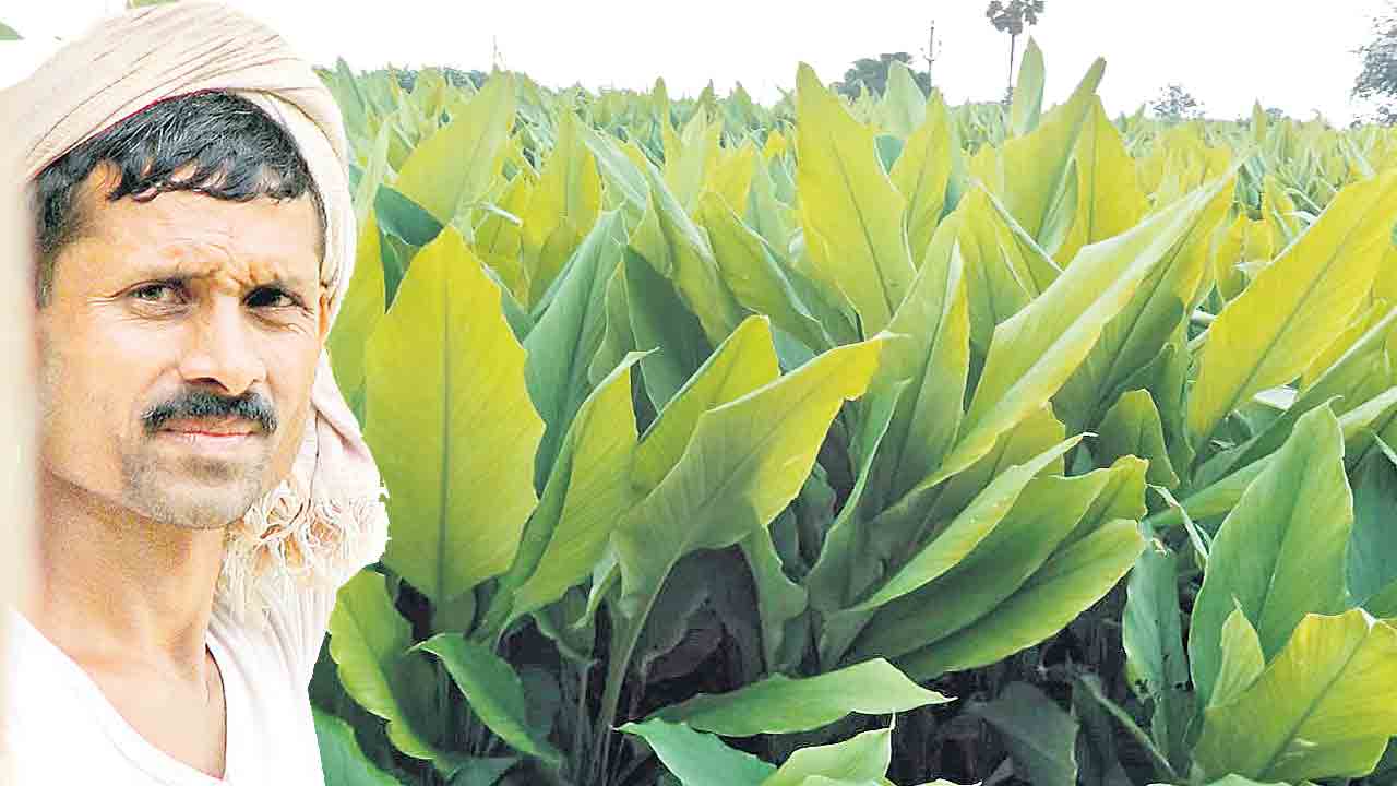 కలం కరుణించేనా..?