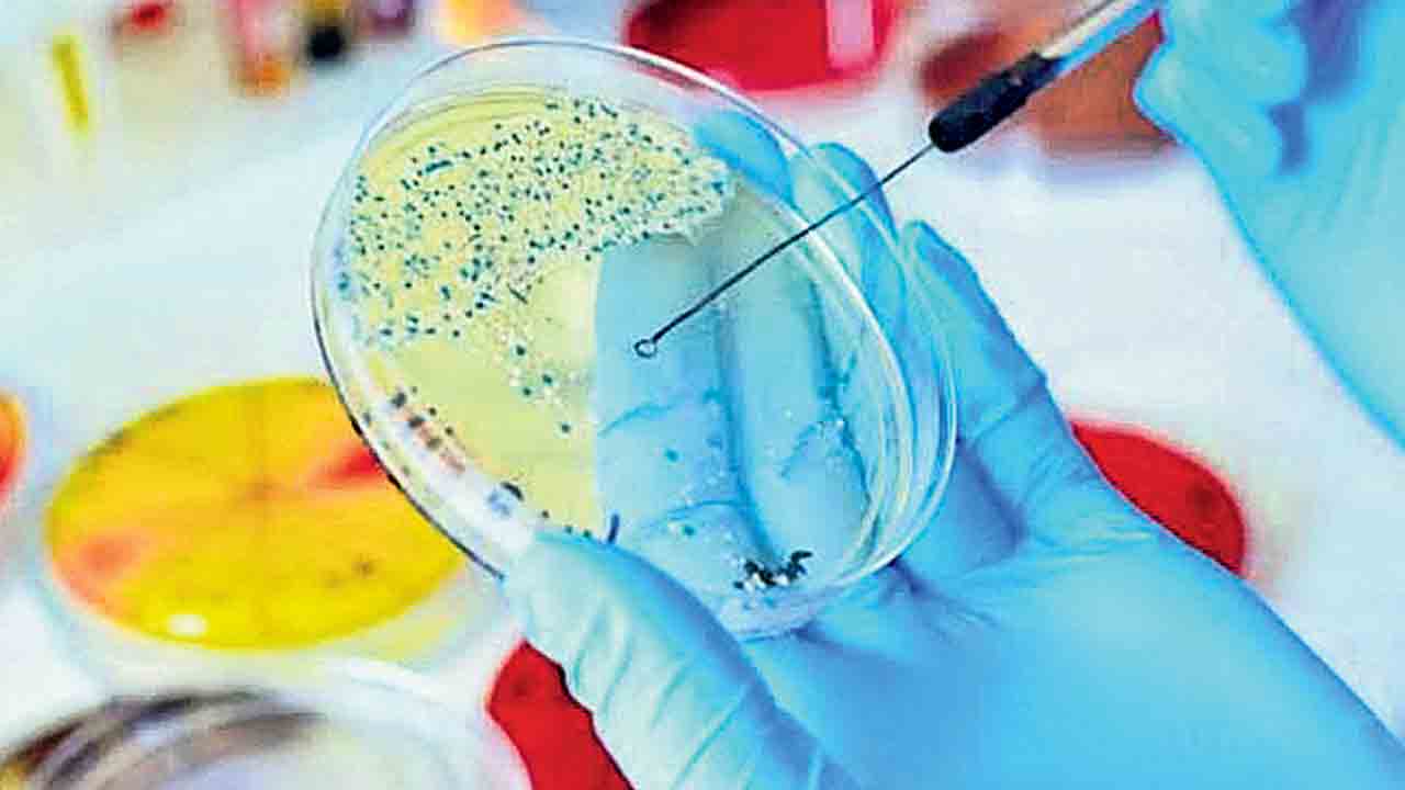 సూపర్‌ బగ్స్‌కు భారత్‌ చెక్‌!