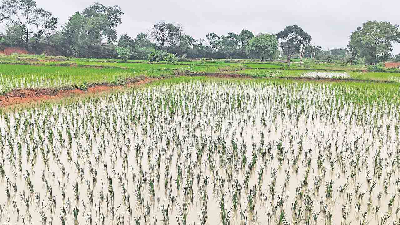 మా భూములపైనే ఎందుకు కన్నేసిండ్రు?