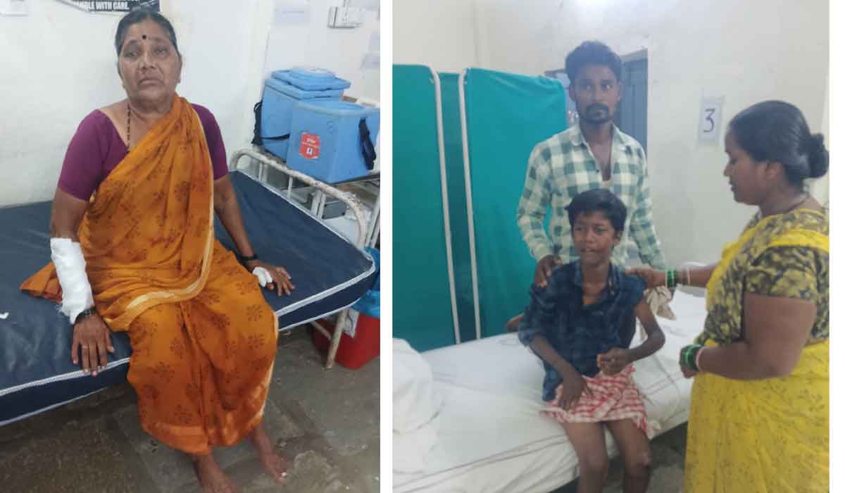 Dharpalli | ధర్పల్లిలో పిచ్చికుక్క స్వైర విహారం.. ఆరుగురిని కరిచిన పిచ్చికుక్క