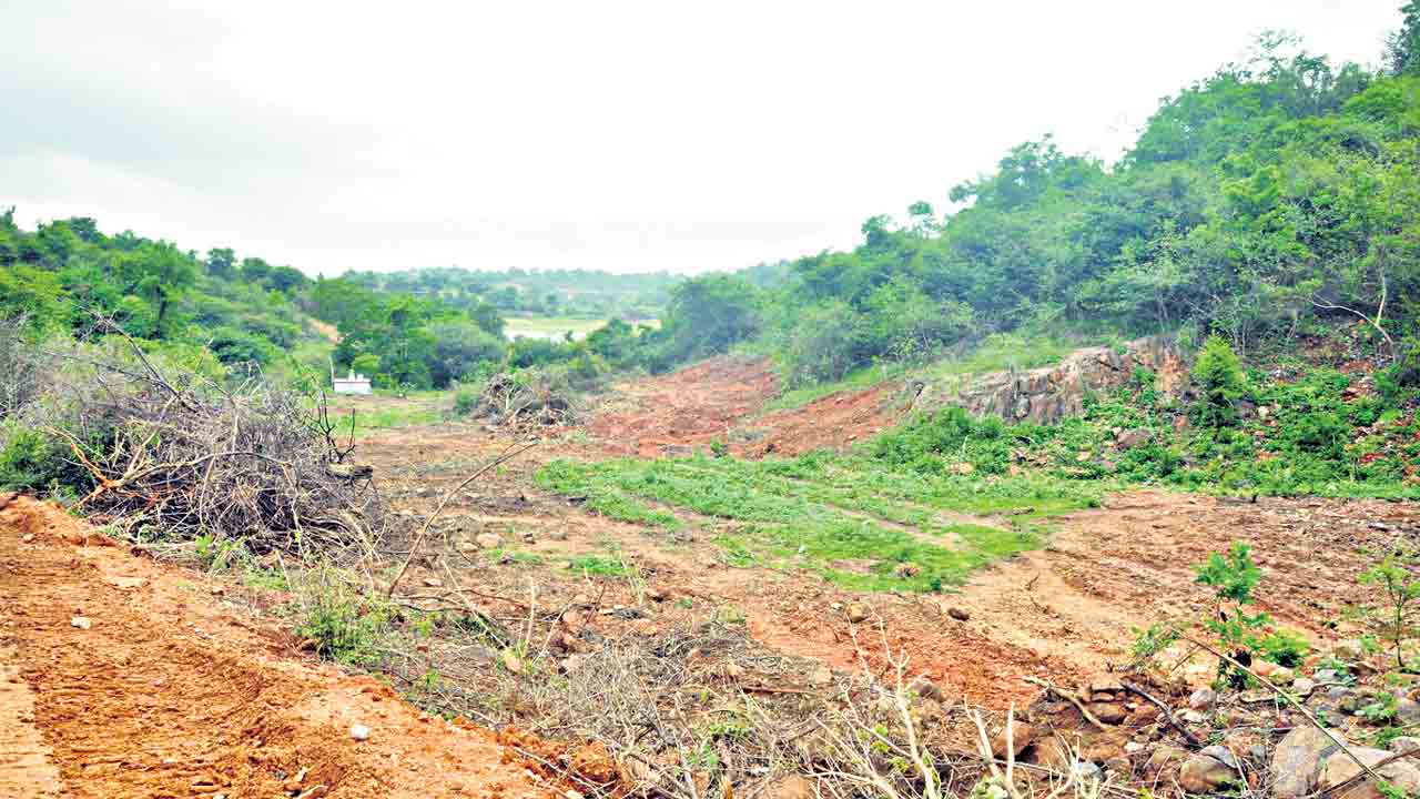 భూసేకరణపై విజిలెన్స్‌