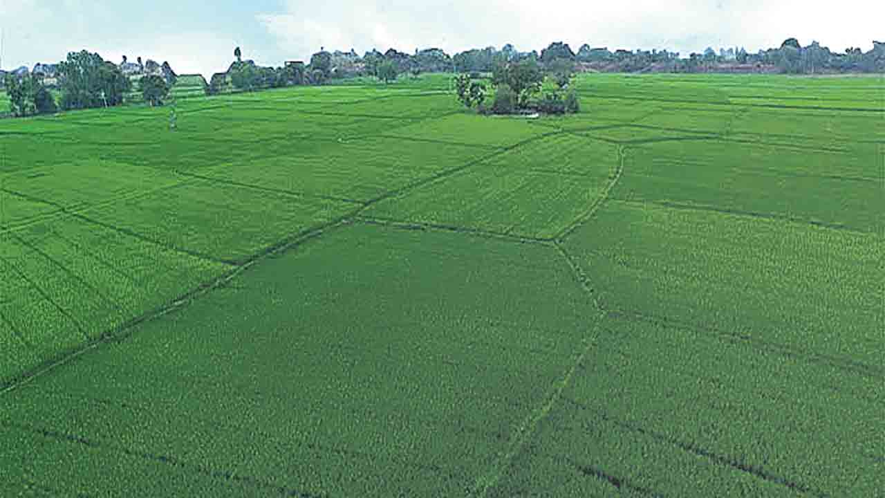 Yadadri  | యాదాద్రి జిల్లా నిరుపేదల జీవితాలతో ప్రభుత్వం చెలగాటం.. నిషేధిత జాబితాలోకి 39,648 ఇండ్లు, 28,549 ఎకరాలు