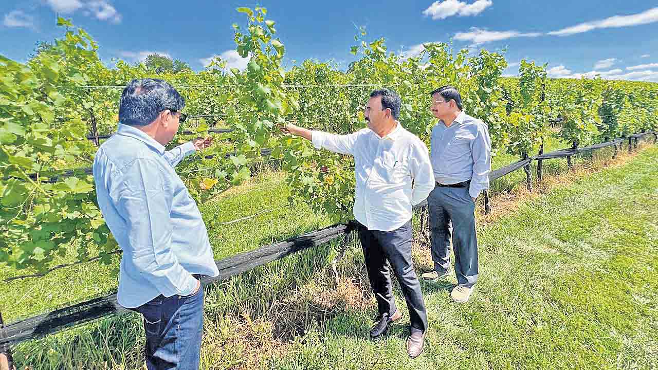 Wine Tourism | మద్యంతో ఆదాయం.. ఇదేనా వైన్‌ టూరిజం.. ఖజానా నింపుకొనేందుకు సర్కార్‌ ప్రణాళిక?
