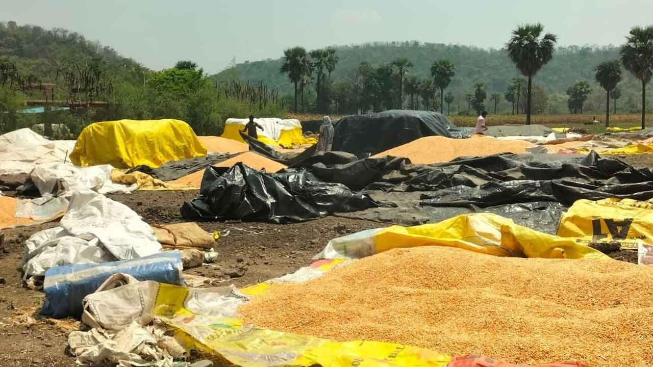 మార్కెట్లు ఉన్నా మనుగడలో లేవు