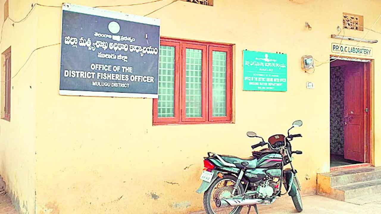 మత్స్యశాఖను వీడని అవినీతి జలగ!