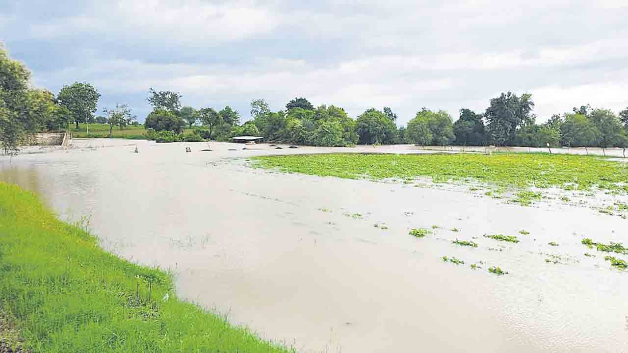 భారీ వర్షం తీరని నష్టం
