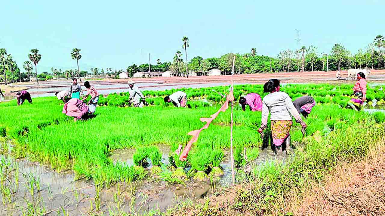 వలస కూలీల విలవిల!