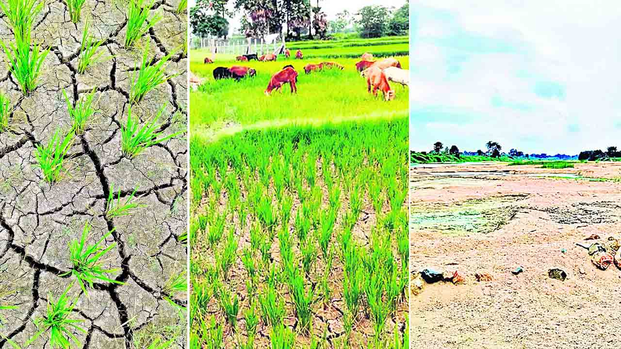పొలాల్లో నెర్రెలు.. అన్నదాతల్లో దిగులు
