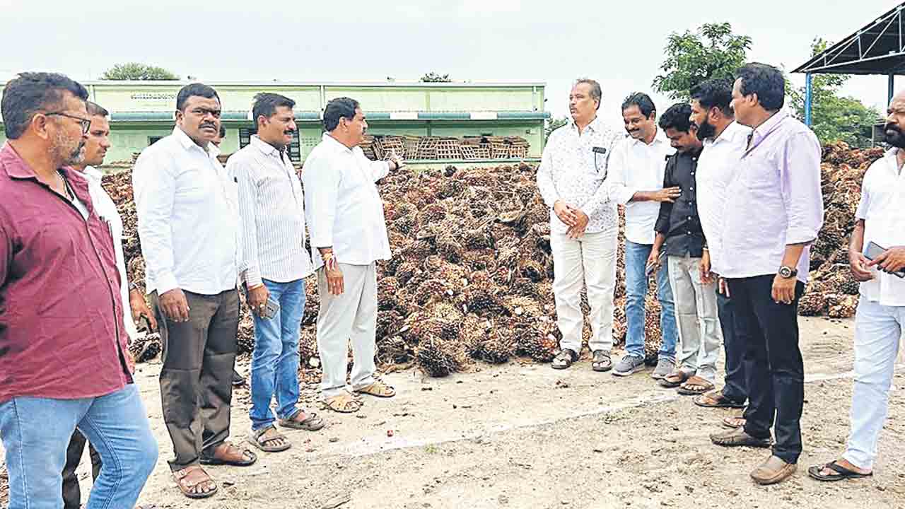 ఫ్యాక్టరీని ఎప్పుడు నిర్మిస్తరు?