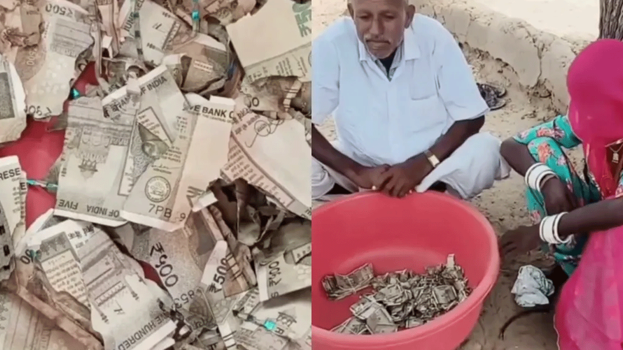 Viral News | దొంగ‌లు దోచుకుంటార‌ని రూ.5 ల‌క్ష‌లు భూమిలో దాచిన‌ రైతు.. త‌ర్వాత ఏమైందంటే..!