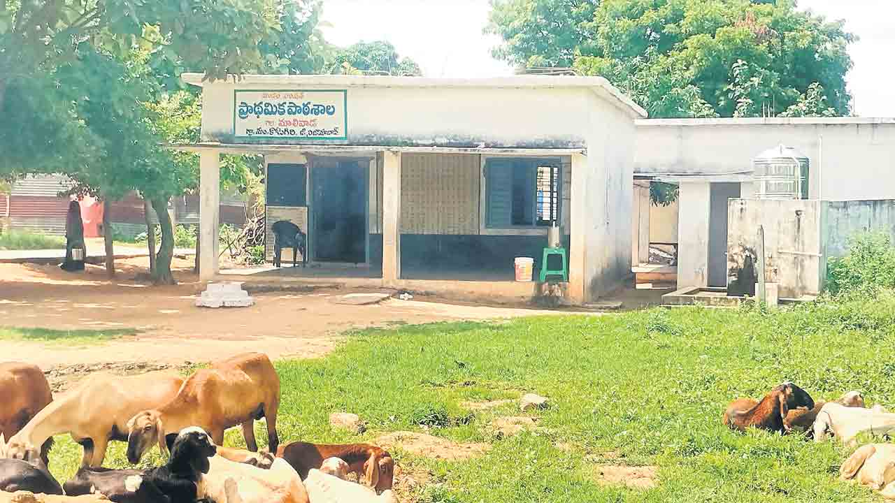 ప్రహరీ లేక పరేషాన్!