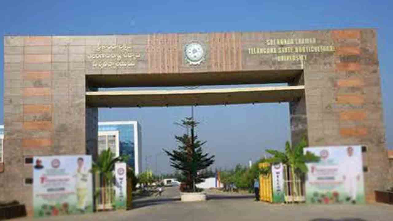 ఉద్యాన పంటల రోడ్‌ మ్యాప్‌ రూపొందిస్తాం.. కొండాలక్ష్మణ్‌ ఉద్యాన వర్సిటీ వీసీ రాజిరెడ్డి