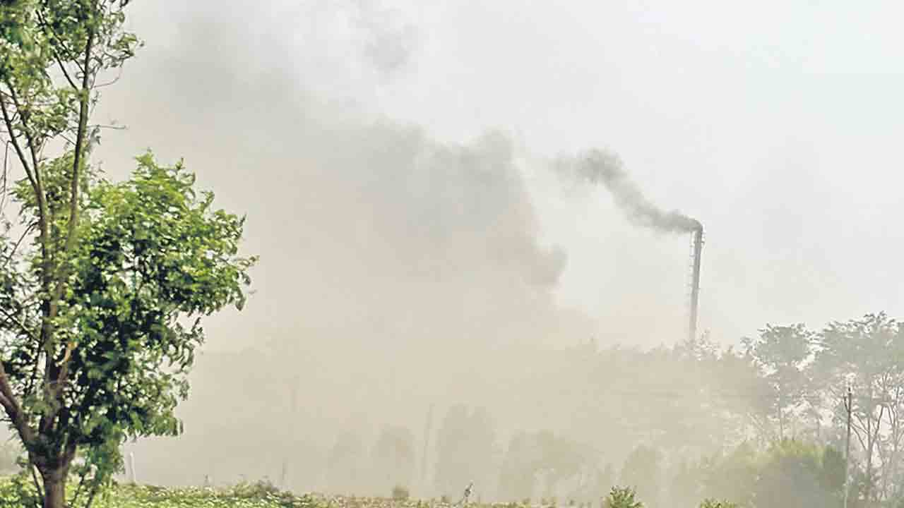 కాటేస్తున్న కాలుష్యం