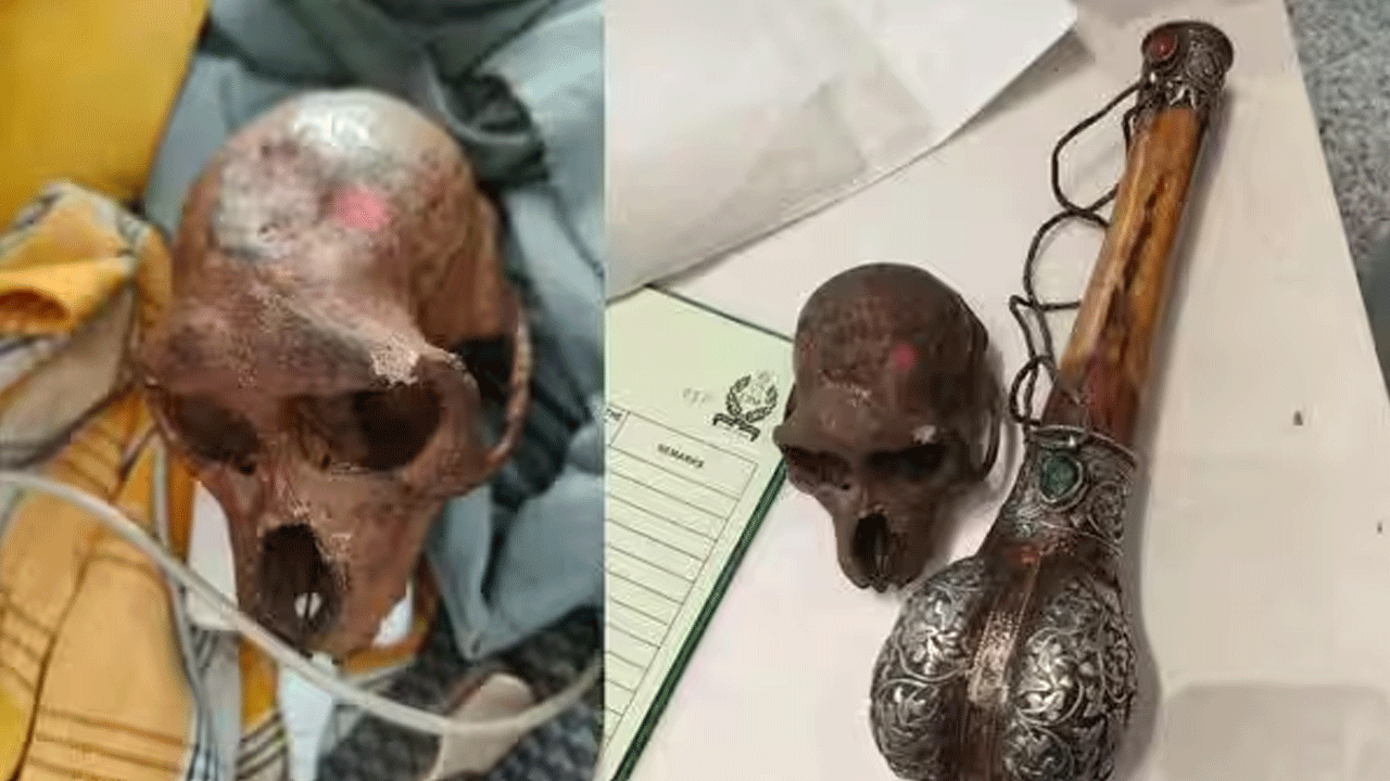 Monkey Skull | ఢిల్లీ ఎయిర్‌పోర్టులో కోతి పుర్రె క‌ల‌క‌లం.. హైద‌రాబాదీ బ్యాగులో ల‌భ్యం