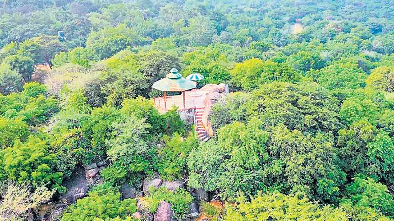 మృగవనికి ముప్పు మూసీ ప్రక్షాళనతో పార్కు మనుగడ ప్రశ్నార్థకం