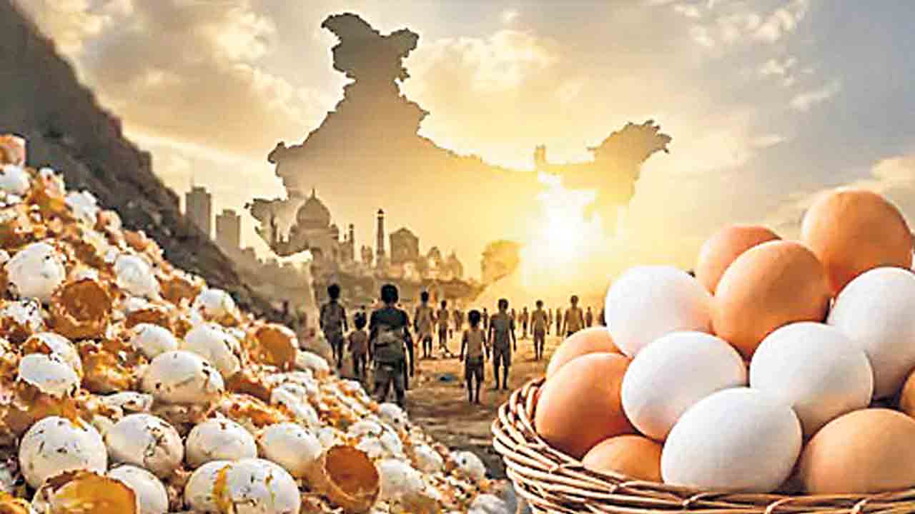 ఏటా వెయ్యి కోట్ల గుడ్లు వృథా.. భారత్‌పై ఎన్‌ఈసీసీ నివేదిక వెల్లడి