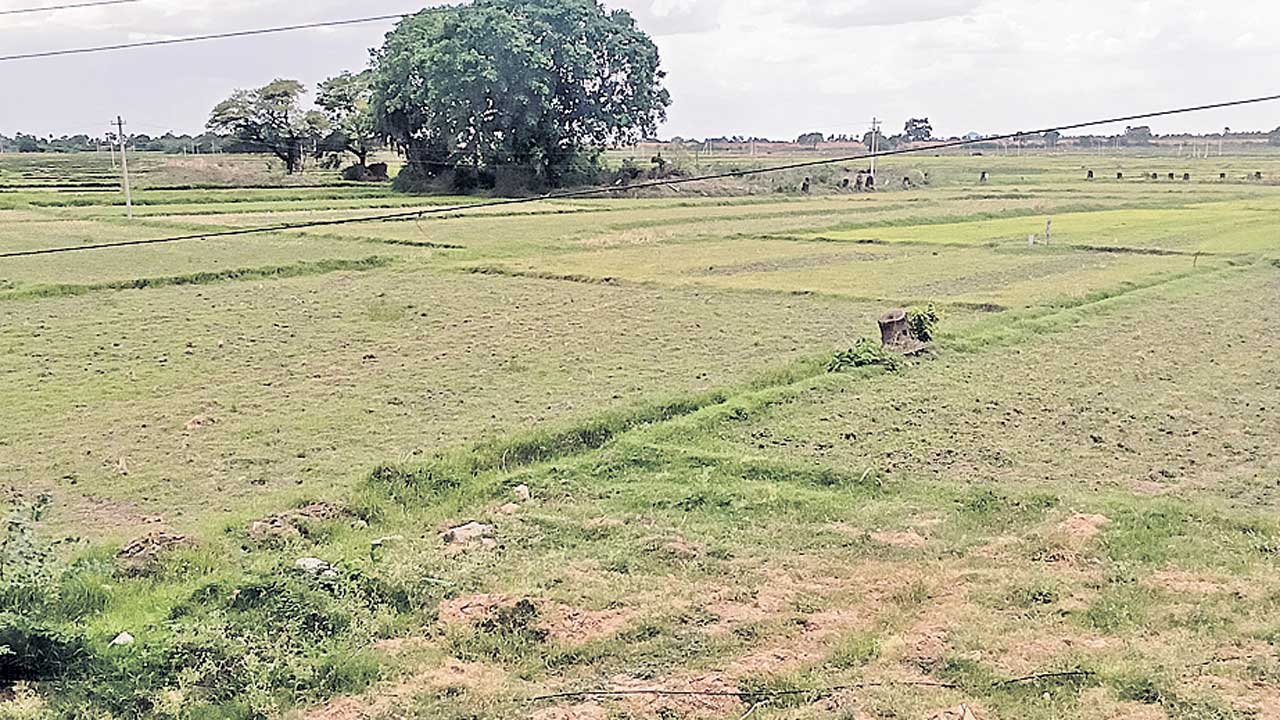 Nalgonda4
