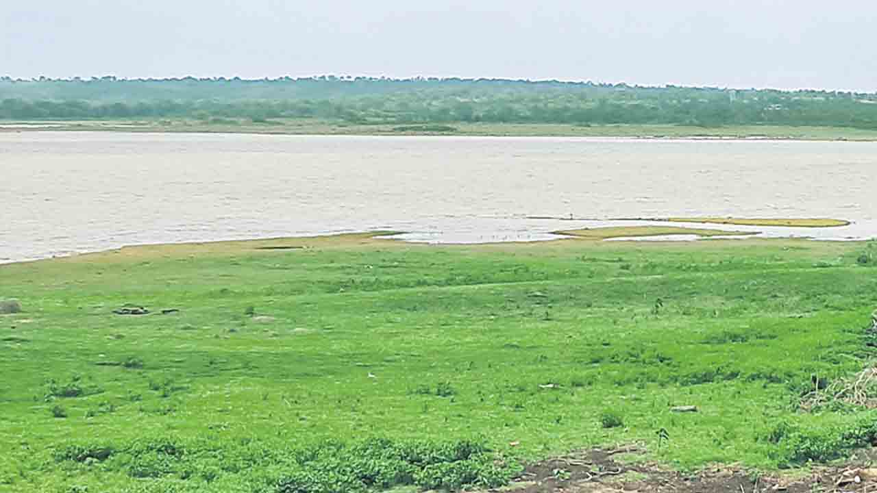 నల్లవాగు ప్రాజెక్టుకు పెరిగిన వరద
