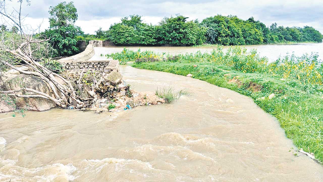 ఒడిసి పట్టకుండా విడిచి పెడుతున్నారు..